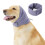 Paraorecchie calmanti per cani e gilet con cappuccio Thunder, viola, taglia M 1