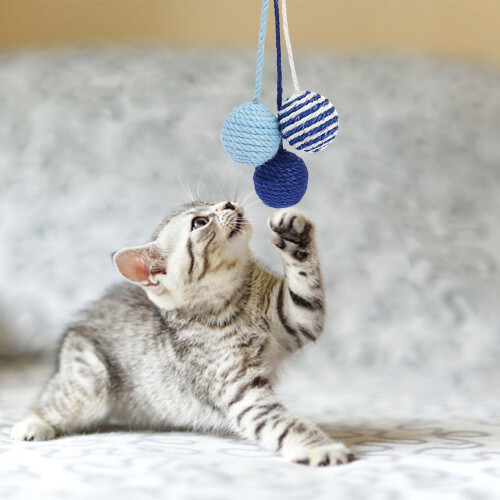 Moving Cat Toy with Feather for Cats and Kittens 2