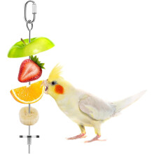 Jouet de recherche de nourriture pour oiseaux en acier inoxydable avec brochette