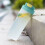 550ml portable shaker cup single layer plastic 6
