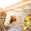 Bird Nest Hammock for Small Birds – Hanging Snuggle Cave 7