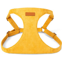 Conjunto de coleira e guia para cães de pequeno porte, tamanho M.