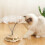 Interactive cat toy ball for indoor cats, 1 piece 2