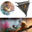 Triangular Reptile Hammock Bed with 3 Suction Cups 4
