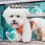 Adjustable Reflective Cat Harness and Leash Set 1 Pack 6