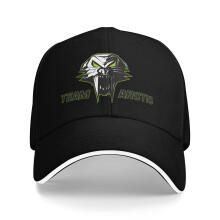 Arctic Cat unisex baseballpet, casual dad hat