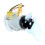Fuel Pump Assembly 4H0906089A A2C5334326880 for  A8 D3 and  Phaeton. 4