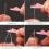 Fish-Type Sewing Machine Needle Threader 10PCS 6