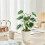 Artificial Potted Plants Realistic Indoor Greenery1Pack 5