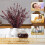 Red Dried Eucalyptus Stems Natural Preserved 20 pcs 4