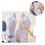 Massage socks cotton reflexology set 2 pairs 3