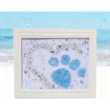 Kit per dipingere con resina effetto vetro di mare per adulti (1 set)