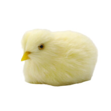 Peluche a forma di pollo, morbido giocattolo per bambini