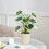 Artificial Potted Plants Realistic Indoor Greenery1Pack 1