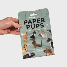 Kit d'origami de chats en papier à faire soi-même – 50 feuilles en forme de chat