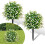 Umělý topiary strom s bílou kamélií 2 ks 1