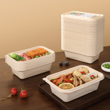 Bols rectangulaires jetables en plastique avec couvercles (20 pièces)