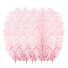 Plumas de penas rosa, 8x1 polegada, 10 unidades
