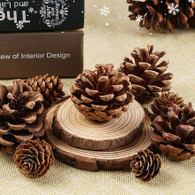 Pinecones Decor Természetes Rusztikus Függődíszek 18 db