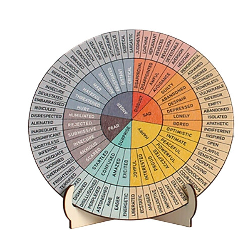 Roda do Bem-Estar Emocional - Ferramenta para Saúde Mental