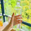 Glasvattenflaska med tidsmarkör 500ml transparent 3
