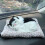 Gato de peluche interactivo con sonido de voz y latidos. 1