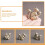 Messing egernstatue Vintage hjemmekontorindretning 15 cm 3