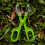 Spinnenclips/Gogga-vangers/schaar (10 stuks) 4