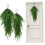 Artificial Branches Norfolk Hanging Vine Decoration 1