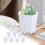 Ensemble de 10 pots de fleurs en résine - Décoration intérieure moderne 1