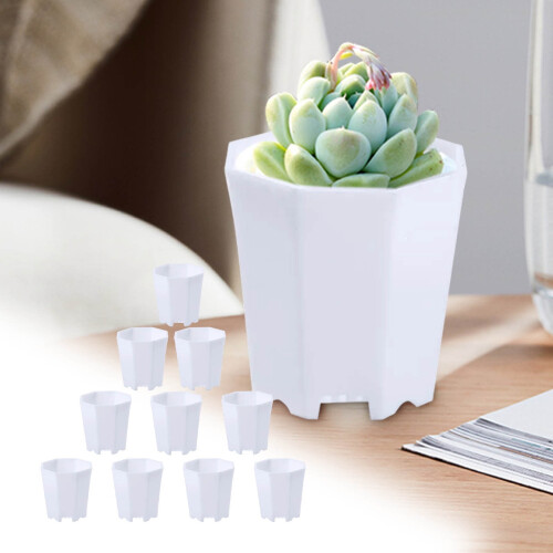 Ensemble de 10 pots de fleurs en résine - Décoration intérieure moderne
