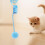Cat toy spring fuzzy ball rope blue 4