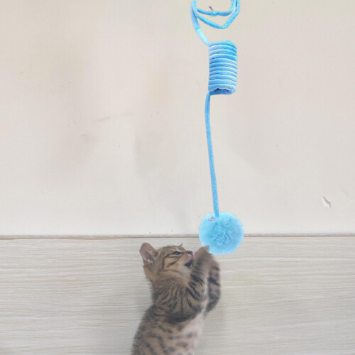 Cat toy spring fuzzy ball rope blue 1