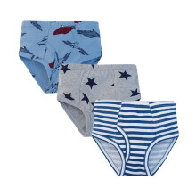 Boy's cozy cartoon star car print briefs 3-pack