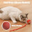 Έξυπνη διαδραστική μπάλα Celery Pets Speedy Tail2.0 για γάτες 5