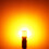 1157LED-lampen 2000LM 3014 72-SMD 6000K wit 5