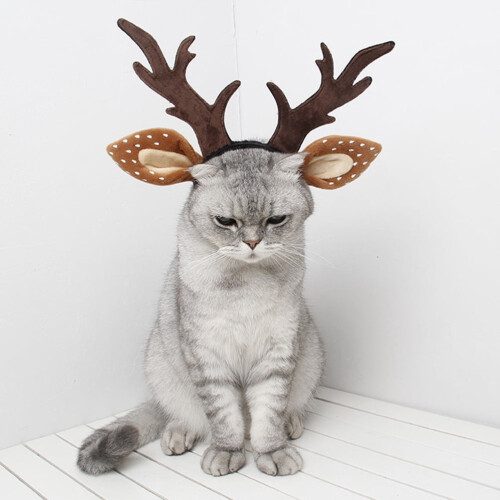 Bandeau en peluche marron pour chat avec cornes de cerf (1 pièce) 2