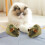 Plush Mouse Cat Toy with Realistic Fur and Soft Tail 5