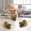 Plush Mouse Cat Toy with Realistic Fur and Soft Tail 6