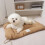 Dog Bed for Small Dogs Waterproof Washable Medium 2