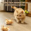 Interactive Auto-Moving Cat Toy Mouse with Furry Tail 7