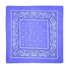 Bavlnená šatka s paisley vzorom 22x22 palcov
