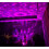 Noorderlicht projectorlamp met zwarte waterrimpels 8