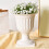 Vaso de flores de plástico branco estilo romano, 22x18x18cm 1
