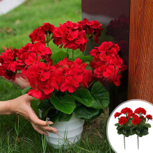 Punaiset keinotekoiset pelargoni-silkkikukat 39,5 cm 2 kpl