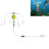 Fishing feeder line set with cage float and 4 hooks 2