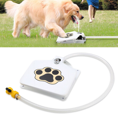 Fontaine à eau extérieure pour chiens, activée par le pied