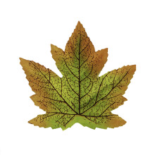 Fake Flowers 50PCS Artificial Maple Leaves Autumn Leaves For Weddings Autumn Parties Art Scrapbooking Decorations