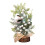 Miniature Christmas Tree Centerpiece Artificial Red Berry 1