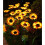 Solar Sunflower Garden Stake Light Outdoor 5